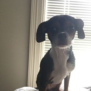 Meet your Posher, Patricia